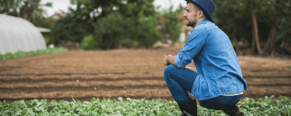 Auf diesem Bild ist eine Person zu sehen, die eine Ausbildung zum/r Pflanzentechnologen/in absolviert. Dieser Beruf umfasst die Planung, Herstellung und Pflege von Pflanzen in Gärtnereien und anderen Einrichtungen. Die Person auf dem Bild ist verantwortlich für die Produktion von hochwertigen Pflanzen und Blumen, die den Anforderungen der Kunden entsprechen.