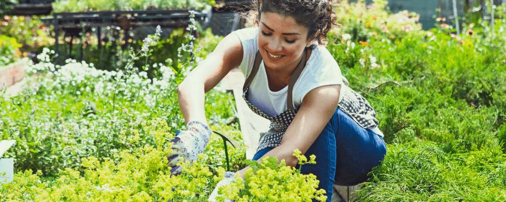 Dies ist ein Bild von einer Person, die eine Ausbildung zum/r Gärtner/in absolviert. Sie sieht zufrieden aus und scheint ihre Arbeit zu genießen. Die Umgebung ist grün und gepflegt, was zeigt, dass sie gut in ihrem Job ist.