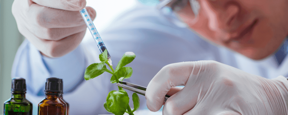Dieses Bild zeigt eine Person, die ein duales Studium Biotechnologie absolviert. Die Biotechnologie ist ein wachsender Bereich der Wissenschaft, der sich mit der Erforschung und dem Einsatz von lebenden Organismen und biologischen Systemen zur Schaffung neuer oder verbesserter Produkte und Technologien beschäftigt.