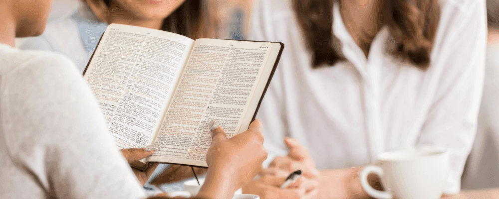 Auf diesem Bild ist eine Person zu sehen, die ein duales Studium Theologie absolviert. Die Person sieht ernst und konzentriert aus und hält ein Buch in der Hand.
